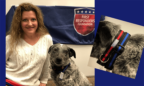 Support Red|Blue Pet Collars