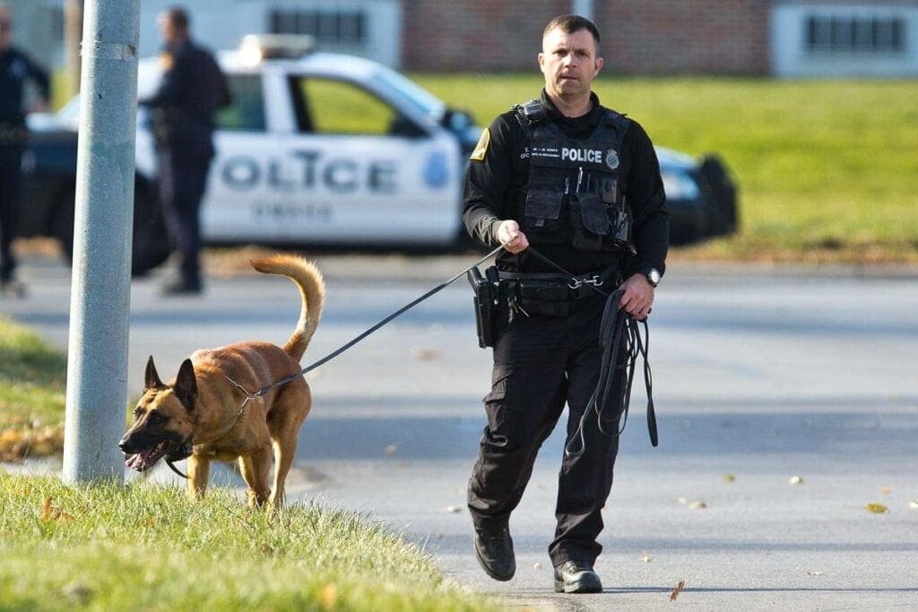 Officers on 4 Legs - Kobus